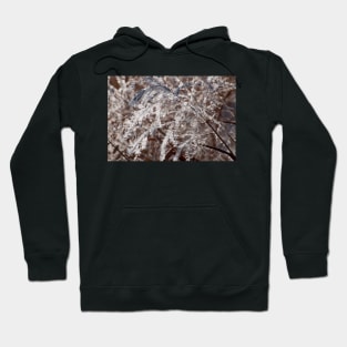 Winter Grassland Hoodie